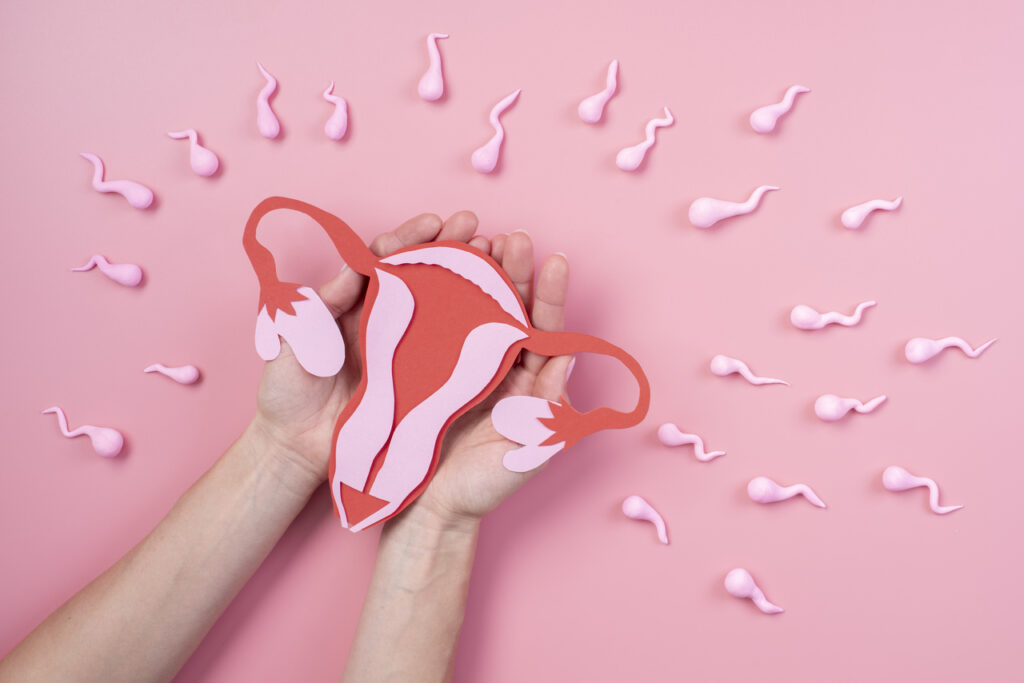 Endometriose e Infertilidade: Entenda a Relação e as Opções de Tratamento